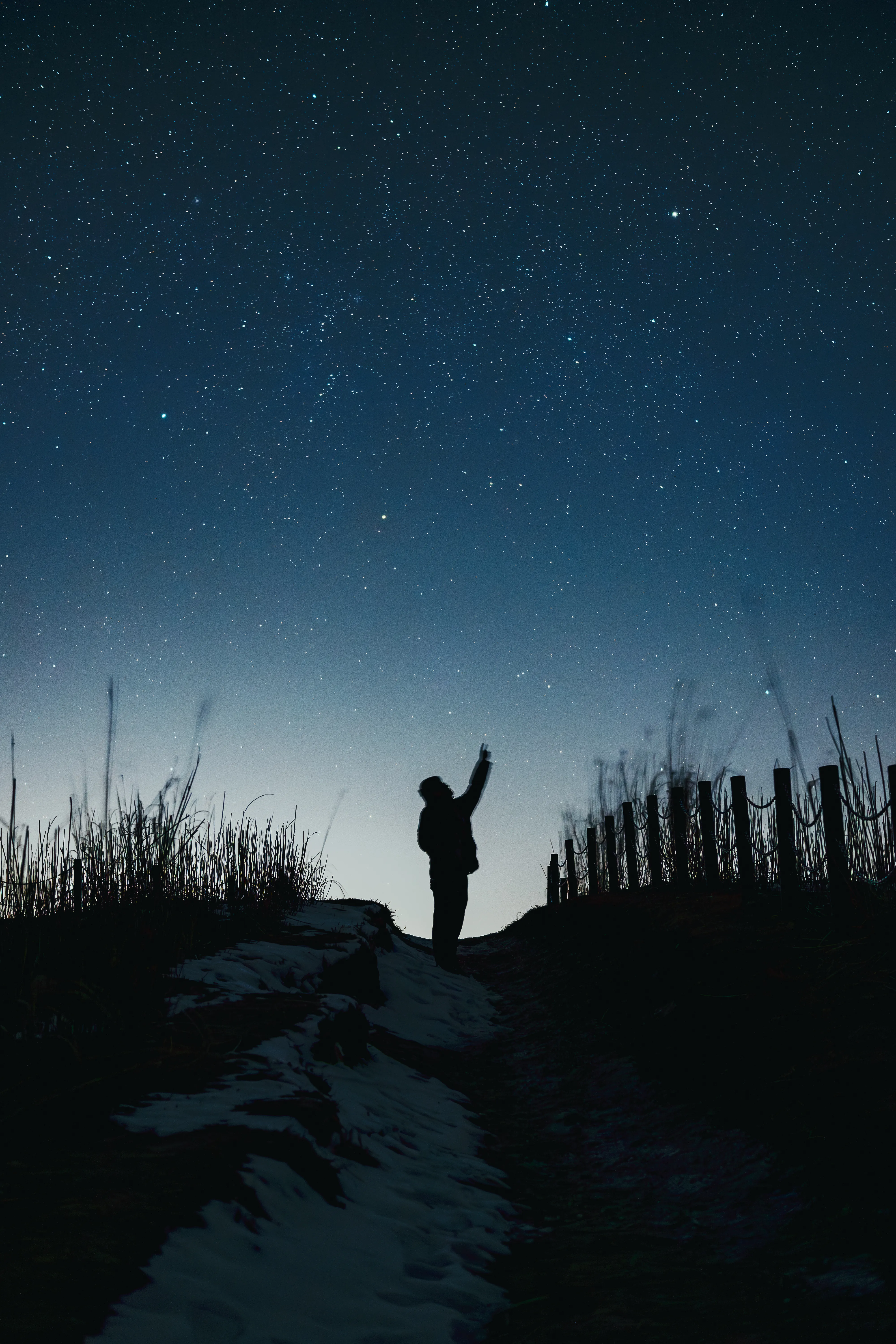 星空に手を伸ばす人物