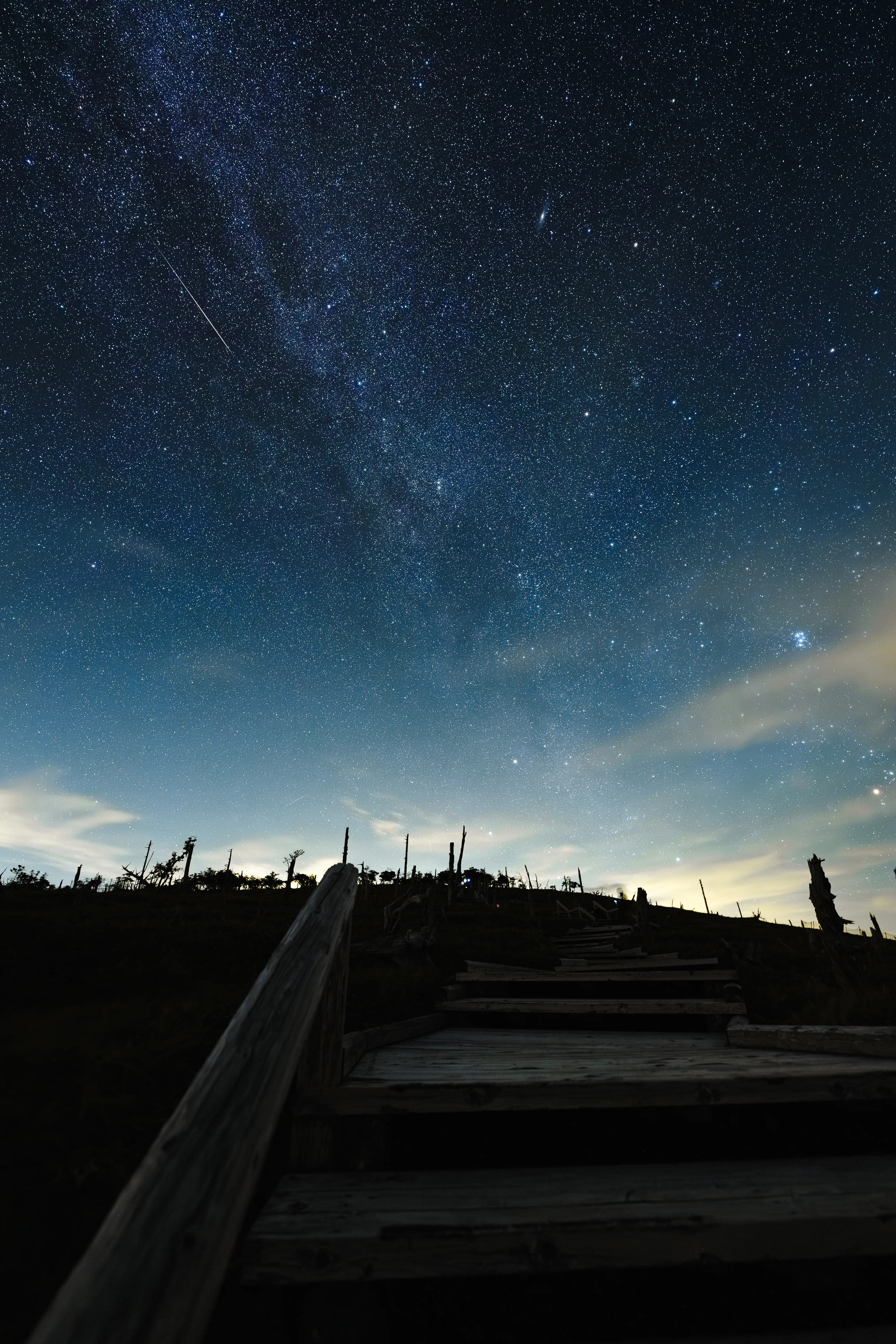 木道の向こうに広がる星空